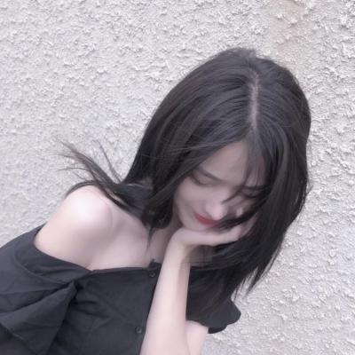 zoologic手机版下载